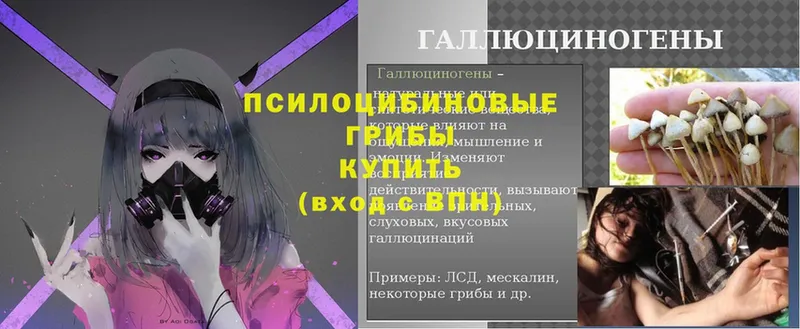 Псилоцибиновые грибы ЛСД  Людиново 